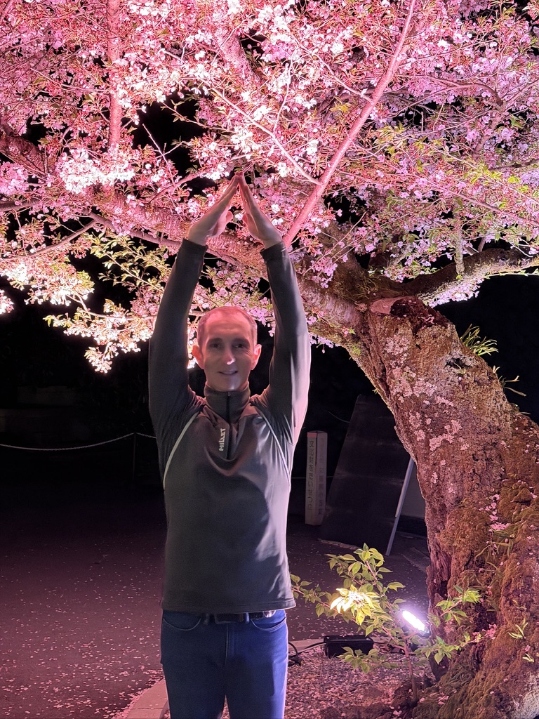 Michaël sous les cerisiers illuminés, printemps 2026